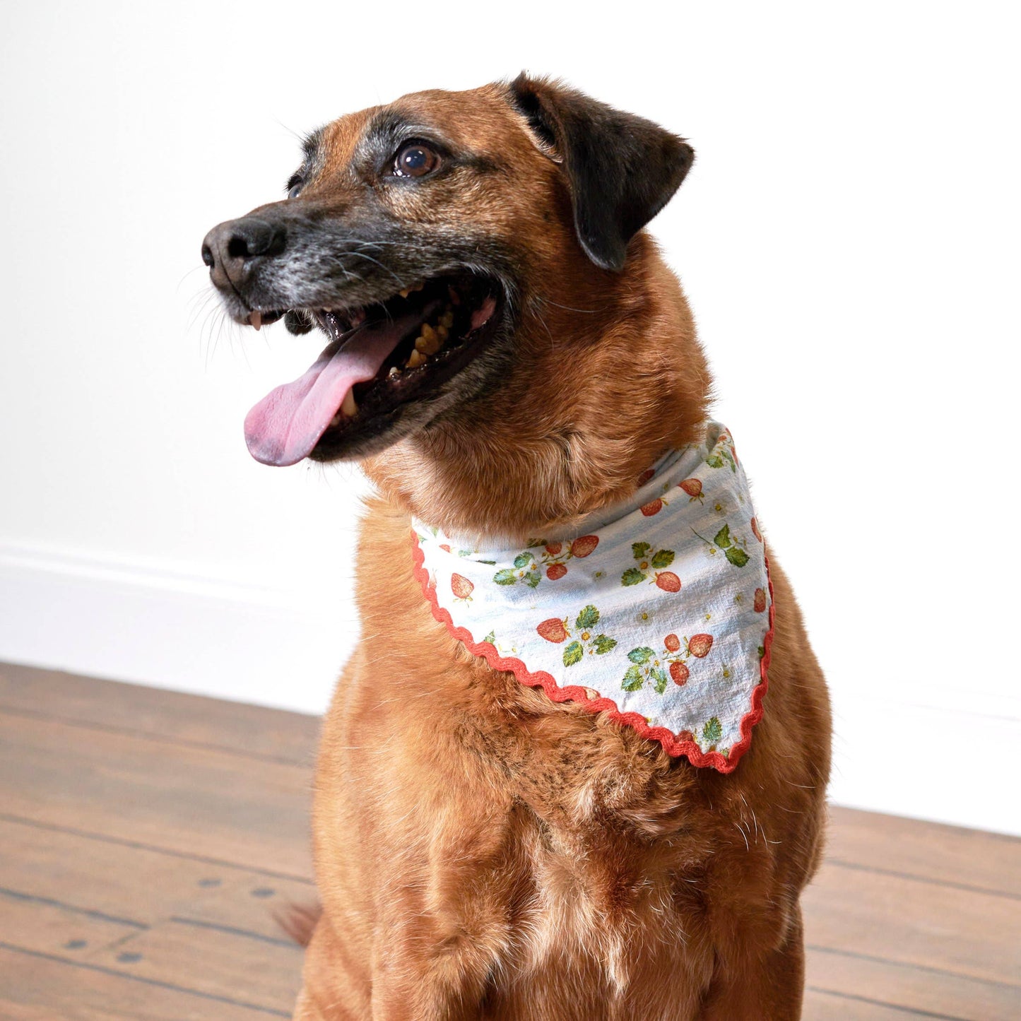 Strawberry Large Pet Bandana - Up to 28 inch