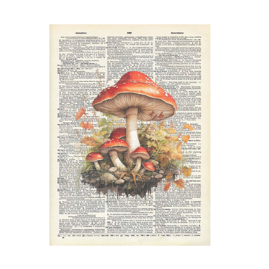 8x10 Mushroom, fall themed dictionary print.